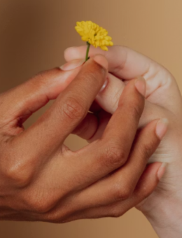 Deux mains se partagent un pissenlit du bout des doigts
