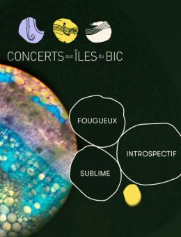 Transfiguration | Fougueux, Sublime, Introspectif