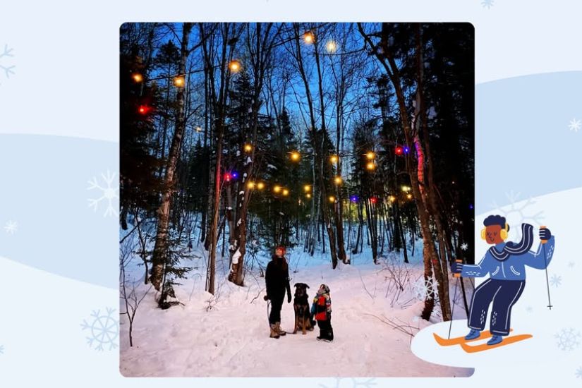 Mystère dans la forêt enchantée