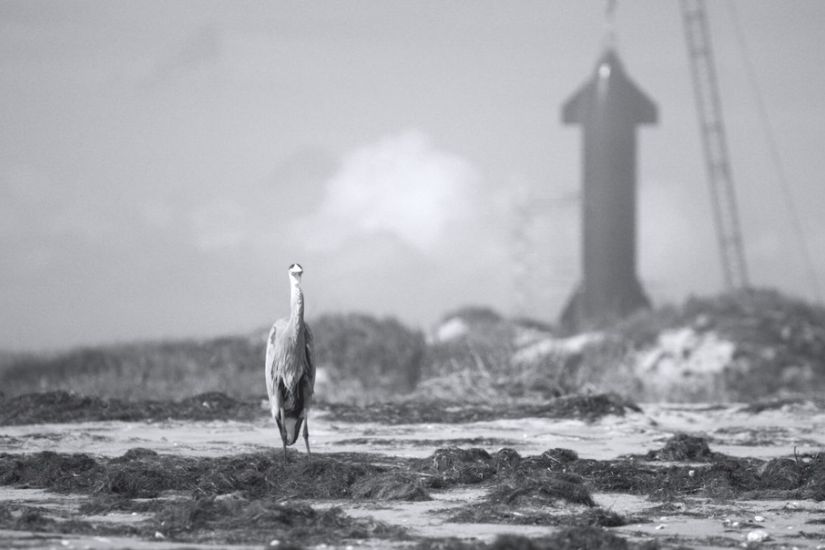 Shifting Baselines | Version originale sous-titrée en français