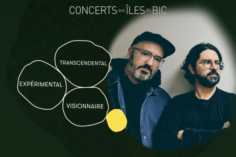 L'Ensemble Modulaire joue Terry Riley : In C