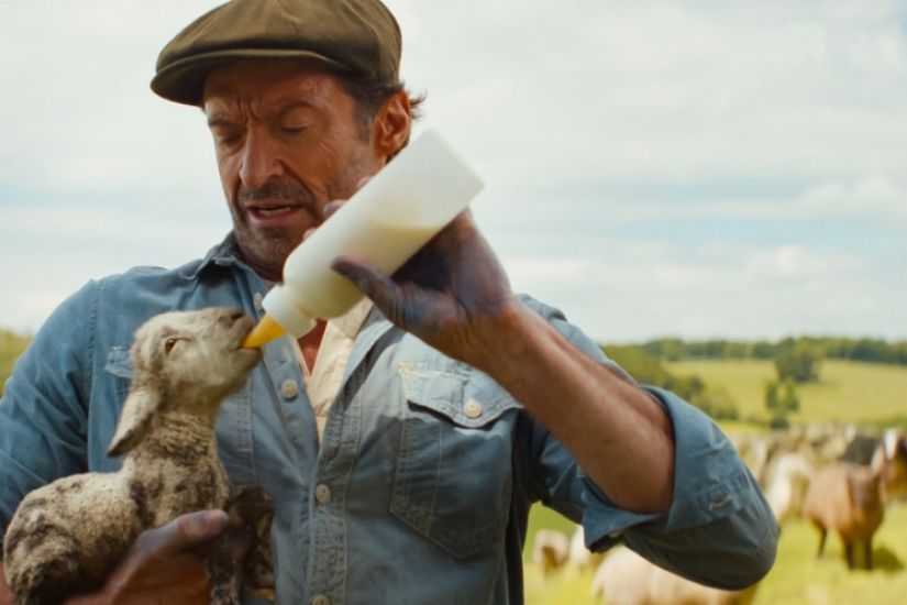 Les moutons détectives