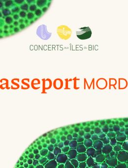 PASSEPORT MORDU | FORFAIT POUR SIX CONCERTS 