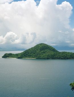 L’image représente une île verdoyante et isolée, entourée d’eau, sous un ciel partiellement nuageux. L’île est recouverte d’une végétation dense, semble inhabitée, et possède une plage visible. Au premier plan, des fleurs et des arbres encadrent la scène, tandis qu’à l’arrière-plan, on aperçoit d’autres terres ou montagnes. L’ensemble dégage une atmosphère paisible et préservée.