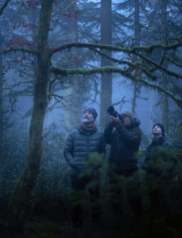 Cinéma Paraloeil | Le chant des forêts