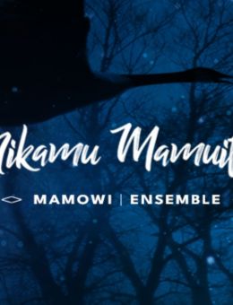 Spect'Art | Salle Desjardins | Nikamu Mamuitun 2