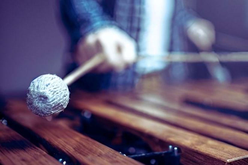 Même instrument, même passion | Percussion