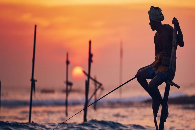 Les Grands Explorateurs | Sri Lanka, perle de l'Océan Indien