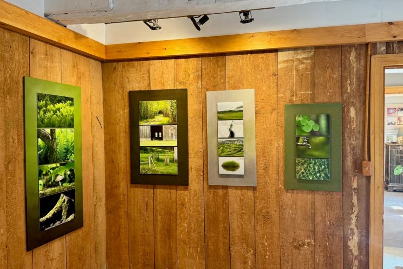 Galerie d'art | Vu en pointillés