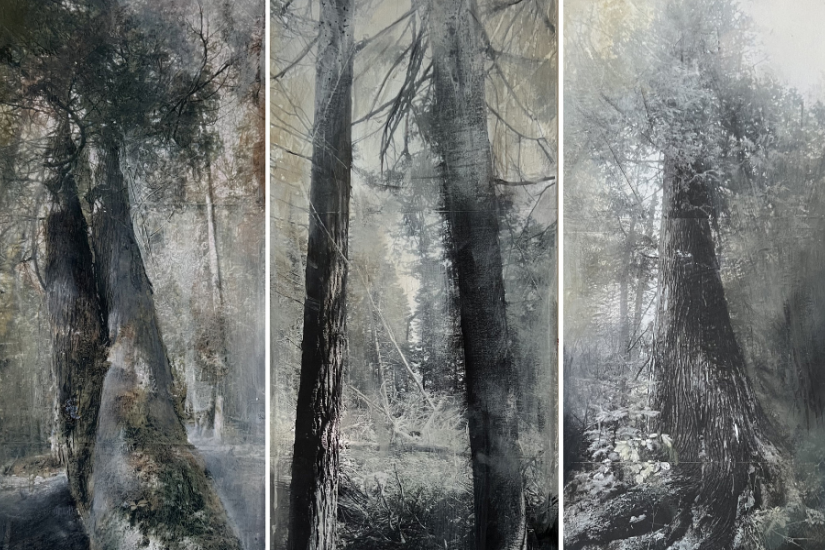 Traverser le silence