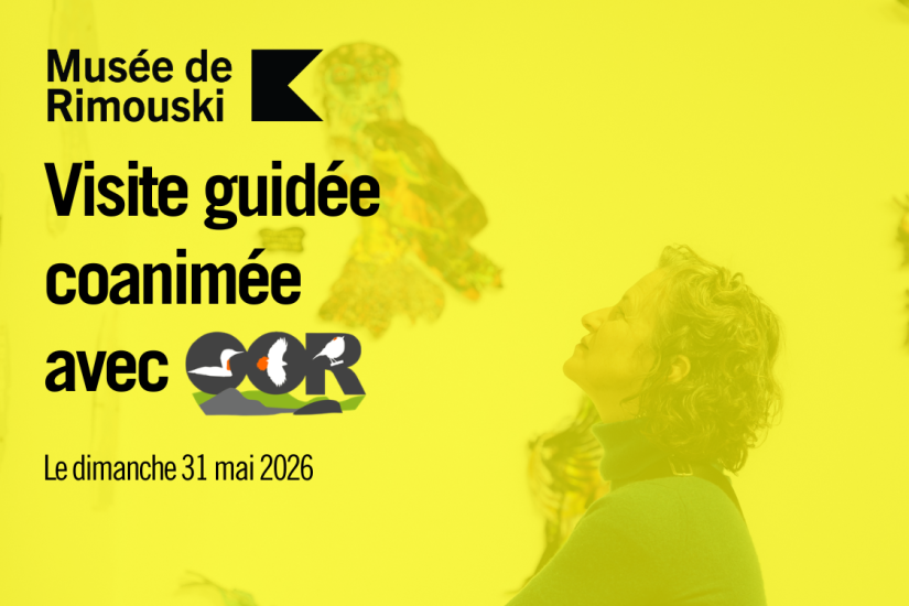 Visite guidée coanimée avec l’Observatoire des oiseaux de Rimouski