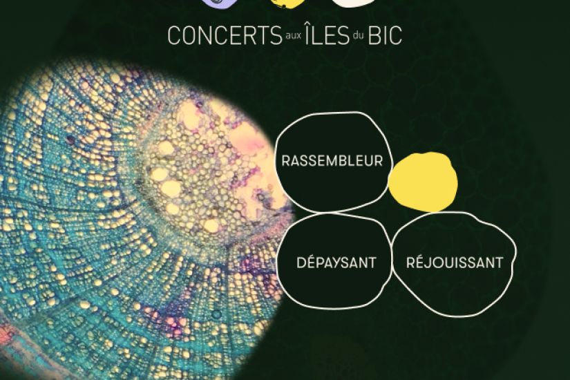 Racines – Concert de clôture