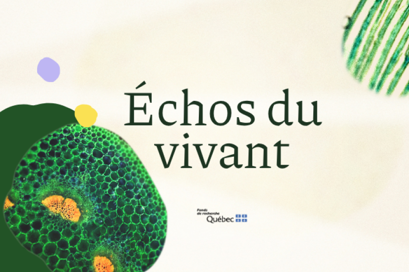 Échos du vivant