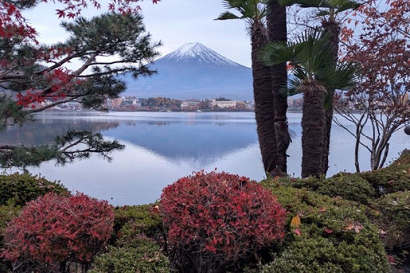 Les Aventuriers voyageurs | Japon | Lumière d'automne