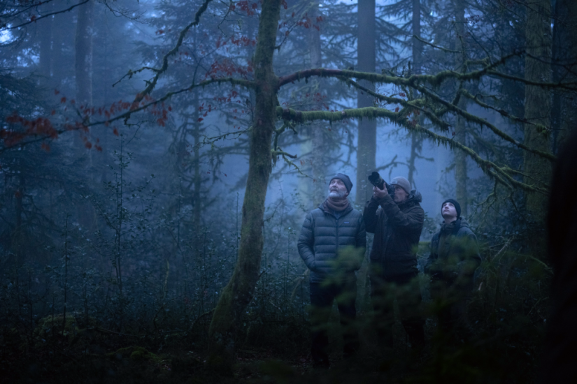 Le chant des forêts